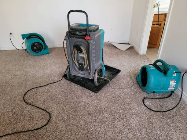 Best Flood damage cleanup  in Bellaire, OH