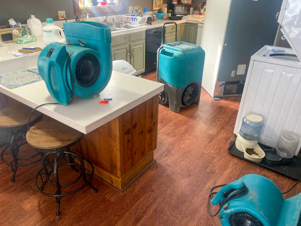 Best Water damage contractors near me  in Bellaire, OH