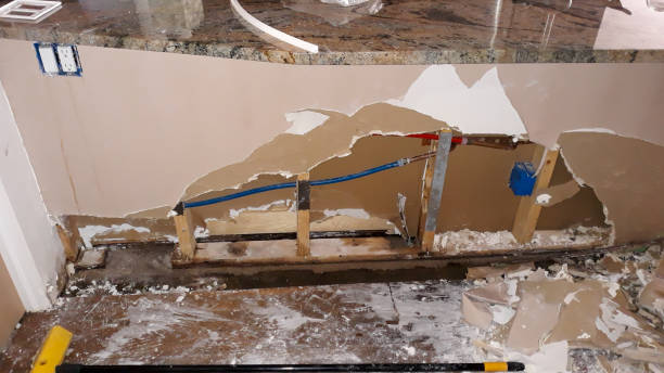 Best Water damage restoration mold remediation  in Bellaire, OH