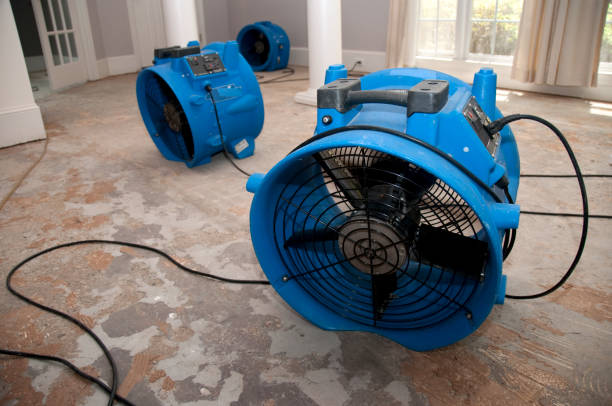 Best Flood restoration services  in Bellaire, OH