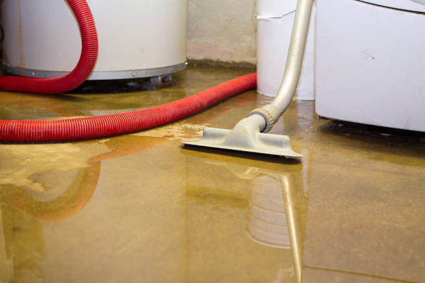 Best Ceiling water damage repair  in Bellaire, OH