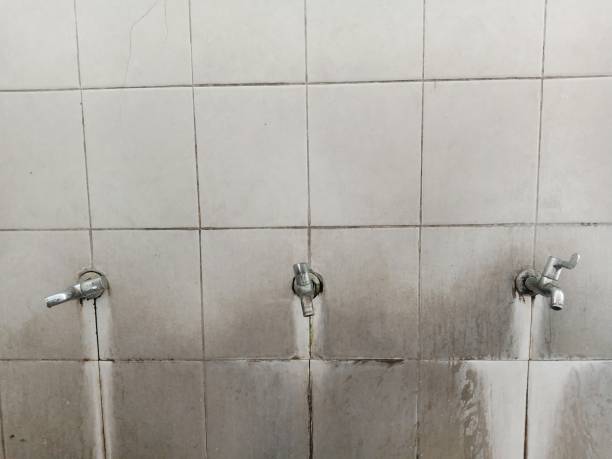 Trusted Bellaire, OH Water damage restoration Experts