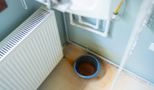 Best Local water damage restoration  in Bellaire, OH