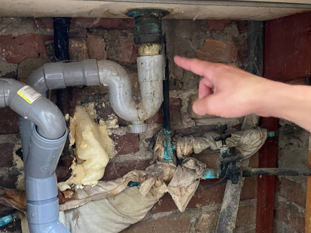 Best Professional water damage repair  in Bellaire, OH
