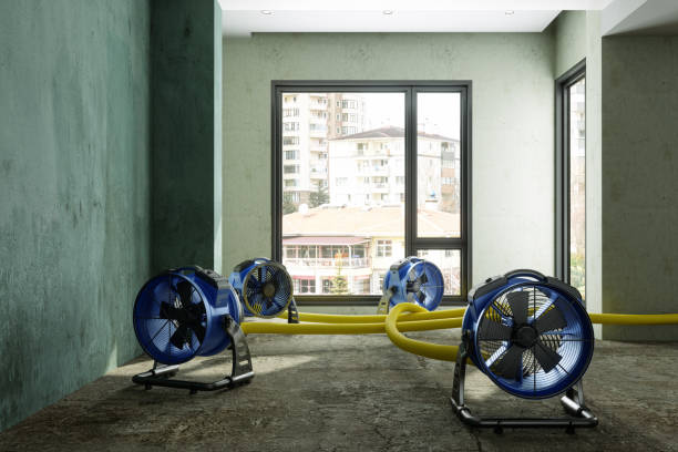Best Sewage cleanup and water damage restoration  in Bellaire, OH